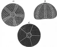 An illustration from Scientific American, Vol. 6, No. 10 (March 1862) (1862)