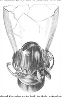 Picture 3 of 7 from Scientific American, Vol. 6, No. 26 (June 1862) (1862), leaf 1