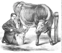 An illustration from Scientific American, Vol. 8, No. 4 (January 1863) (1863)