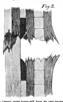 Picture 3 of 7 from Scientific American, Vol. 10, No. 5 (January 1864) (1864), leaf 3