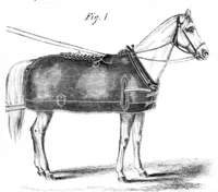 An illustration from Scientific American, Vol. 12, No. 15 (April 1865) (1865)