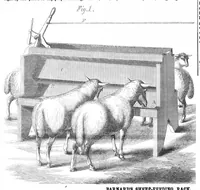 Picture 6 of 7 from Scientific American, Vol. 13, No. 24 (December 1865) (1865), leaf 15