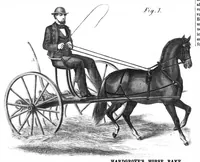 An illustration from Scientific American, Vol. 14, No. 5 (January 1866) (1866)