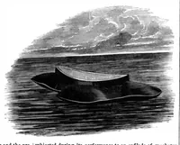 Picture 4 of 10 from Scientific American, Vol. 17, No. 3 (July 1867) (1867), leaf 3