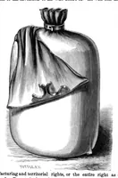 An illustration from Scientific American, Vol. 17, No. 3 (July 1867) (1867)