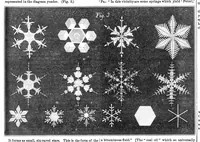 Picture 5 of 11 from Scientific American, Vol. 18, No. 8 (February 1868) (1868), leaf 4