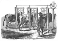 An illustration from Scientific American, Vol. 18, No. 18 (May 1868) (1868)