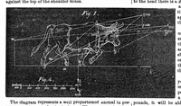 Picture 3 of 6 from Scientific American, Vol. 19, No. 3 (July 1868) (1868), leaf 4