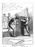 Picture 3 of 9 from Scientific American, Vol. 19, No. 5 (July 1868) (1868), leaf 0