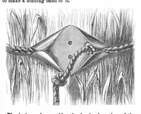 Picture 3 of 8 from Scientific American, Vol. 19, No. 10 (September 1868) (1868), leaf 3