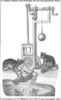 Picture 2 of 5 from Scientific American, Vol. 19, No. 12 (September 1868) (1868), leaf 0