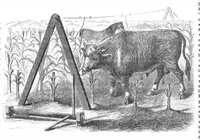 An illustration from Scientific American, Vol. 19, No. 13 (September 1868) (1868)