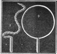 An illustration from Scientific American, Vol. 19, No. 24 (December 1868) (1868)