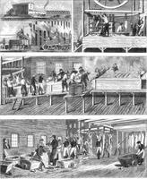 An illustration from Scientific American, Vol. 19, No. 24 (December 1868) (1868)