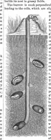 An illustration from Scientific American, Vol. 20, No. 12 (March 1869) (1869)