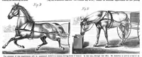 An illustration from Scientific American, Vol. 21, No. 1 (July 1869) (1869)