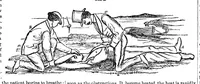 An illustration from Scientific American, Vol. 21, No. 9 (August 1869) (1869)