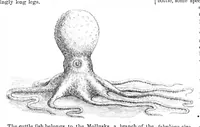 An illustration from Scientific American, Vol. 21, No. 14 (October 1869) (1869)