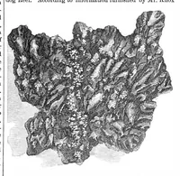 Picture 3 of 7 from Scientific American, Vol. 21, No. 17 (October 1869) (1869), leaf 3