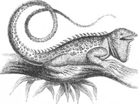 An illustration from Scientific American, Vol. 21, No. 23 (December 1869) (1869)