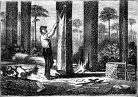 Picture 3 of 18 from Scientific American, Vol. 22, No. 12 (March 1870) (1870), leaf 3