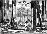 An illustration from Scientific American, Vol. 22, No. 12 (March 1870) (1870)
