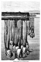 An illustration from Scientific American, Vol. 22, No. 16 (April 1870) (1870)