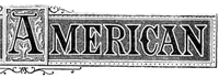 An illustration from Scientific American, Vol. 22, No. 25 (June 1870) (1870)