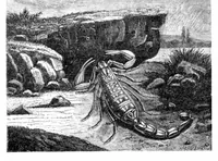 An illustration from Scientific American, Vol. 22, No. 25 (June 1870) (1870)