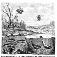 Picture 5 of 7 from Scientific American, Vol. 22, No. 26 (June 1870) (1870), leaf 4