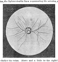 Picture 7 of 11 from Scientific American, Vol. 23, No. 3 (July 1870) (1870), leaf 3