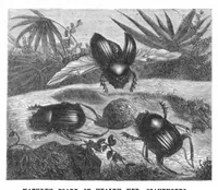 An illustration from Scientific American, Vol. 23, No. 10 (September 1870) (1870)