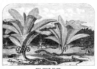 An illustration from Scientific American, Vol. 24, No. 16 (April 1871) (1871)