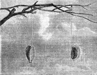 An illustration from Scientific American, Vol. 25, No. 9 (August 1871) (1871)