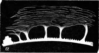 An illustration from Scientific American, Vol. 25, No. 21 (November 1871) (1871)