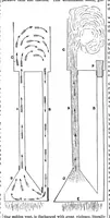 Picture 5 of 10 from Scientific American, Vol. 25, No. 25 (December 1871) (1871), leaf 3