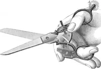 An illustration from Scientific American, Vol. 26, No. 11 (March 1872) (1872)