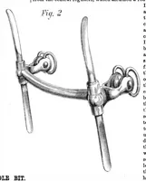 An illustration from Scientific American, Vol. 26, No. 21 (May 1872) (1872)
