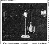 An illustration from Scientific American, Vol. 26, No. 24 (June 1872) (1872)