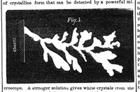 Picture 6 of 9 from Scientific American, Vol. 26, No. 26 (June 1872) (1872), leaf 4