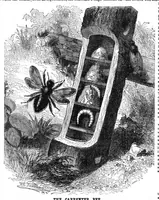 An illustration from Scientific American, Vol. 27, No. 11 (September 1872) (1872)