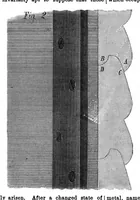 Picture 7 of 9 from Scientific American, Vol. 27, No. 20 (November 1872) (1872), leaf 4