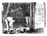 Picture 3 of 13 from Scientific American, Vol. 28, No. 9 (March 1873) (1873), leaf 3