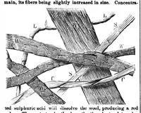 An illustration from Scientific American, Vol. 28, No. 9 (March 1873) (1873)