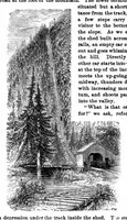 An illustration from Scientific American, Vol. 28, No. 13 (March 1873) (1873)