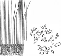 An illustration from Scientific American, Vol. 28, No. 15 (April 1873) (1873)