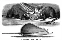 An illustration from Scientific American, Vol. 28, No. 17 (April 1873) (1873)