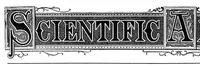 An illustration from Scientific American, Vol. 28, No. 20 (May 1873) (1873)