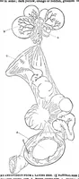 Picture 9 of 14 from Scientific American, Vol. 28, No. 22 (May 1873) (1873), leaf 5