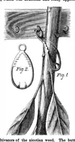Picture 5 of 13 from Scientific American, Vol. 28, No. 26 (June 1873) (1873), leaf 3